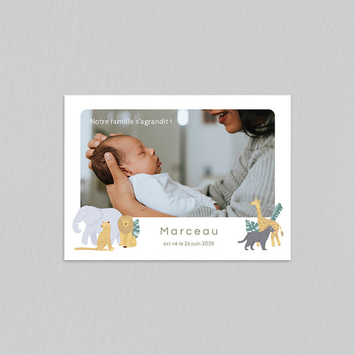 #lang=FR,format=G2RV,Cut=RC0