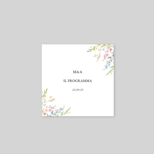 #lang=IT,format=MCRV,Cut=RC0