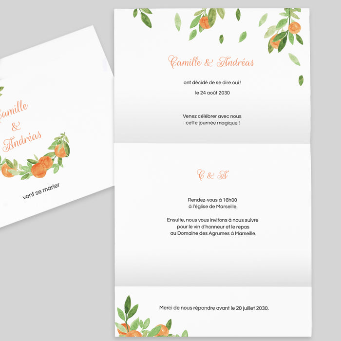 #lang=FR,format=PF2HB,Accessories=FINA