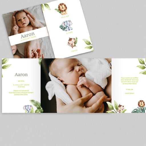 #lang=FR,format=G2GD,Cut=RC0