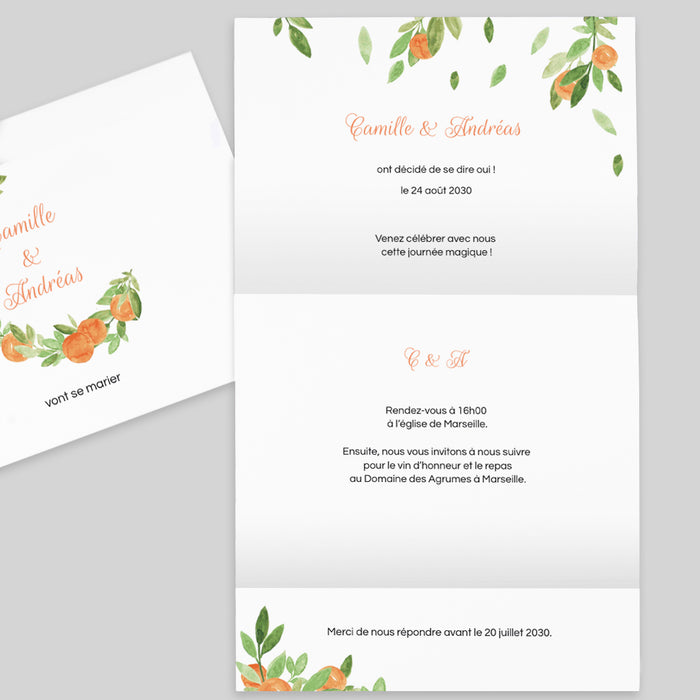 #lang=FR,format=PF2HB,Accessories=FINO