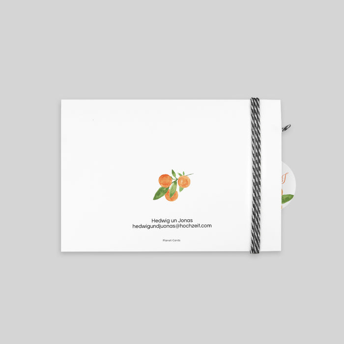 #lang=DE,format=PF2HB,Accessories=FINO