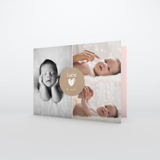 #lang=IT,format=G2G,color=Misty rose,Cut=RC0