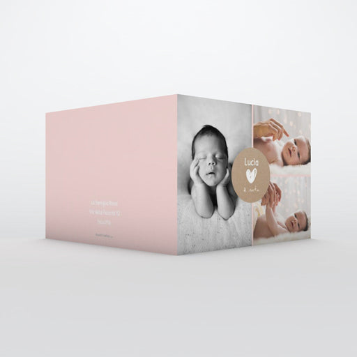 #lang=IT,format=G2G,color=Misty rose,Cut=RC0