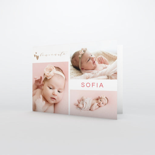 #lang=IT,format=G2G,Cut=RC0