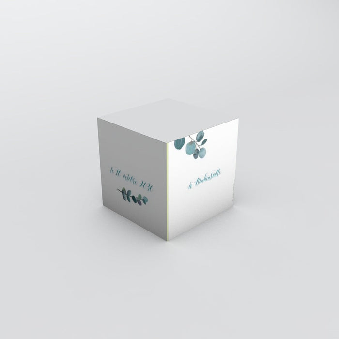 #lang=FR,format=PKG1,color=Pastel green,Cut=RC0