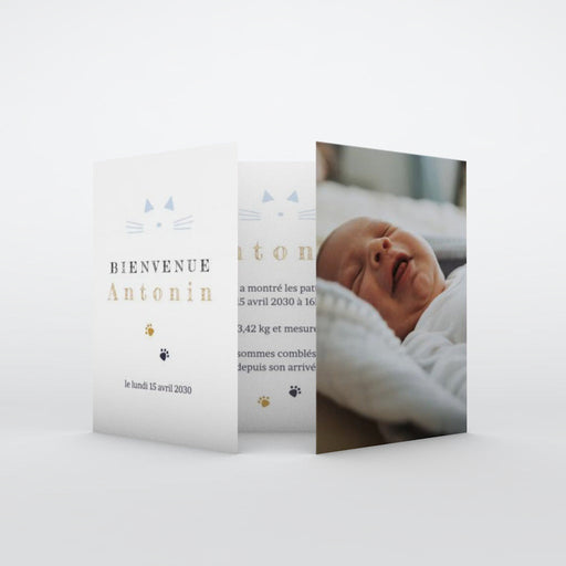 #lang=FR,format=G2GD,color=Pastel blue,Cut=RC0