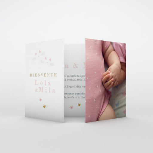 #lang=FR,format=G2GD,color=Misty rose,Cut=RC0