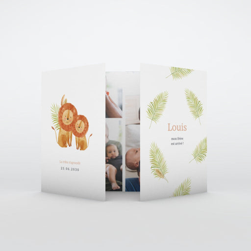 #lang=FR,format=G2GD,Cut=RC0