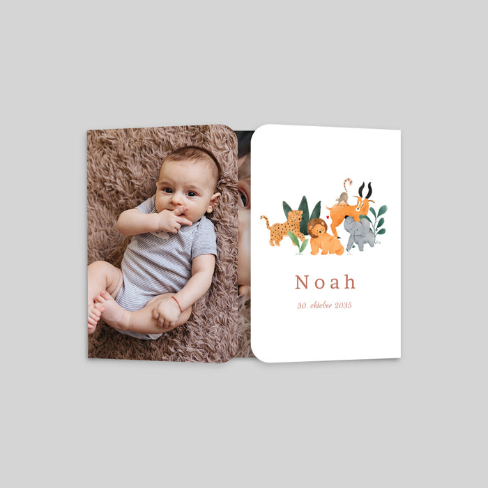 #lang=DE,format=G2GD,Cut=RC1