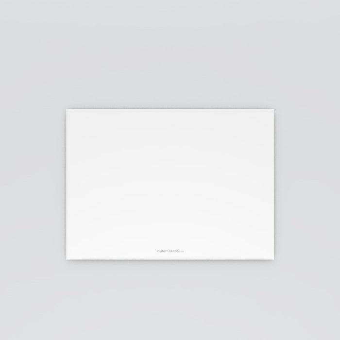 #lang=FR,format=G2RV,Cut=RC0