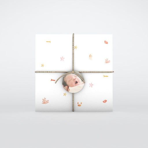 #lang=DE,format=CFG,Accessories=FINA