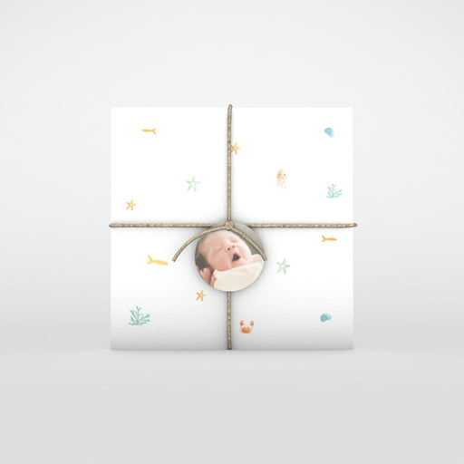 #lang=DE,format=CFG,Accessories=FINA