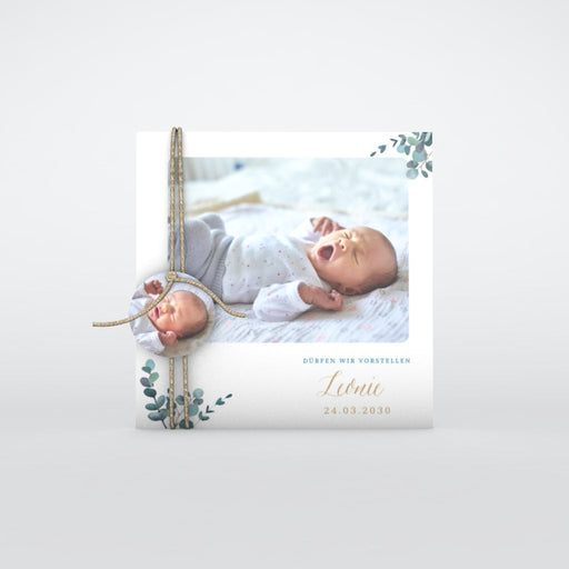 #lang=DE,format=CFG,color=Cream,Cut=RC0,Accessories=FINA