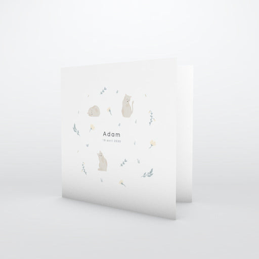 #lang=FR,format=CG,Cut=RC0