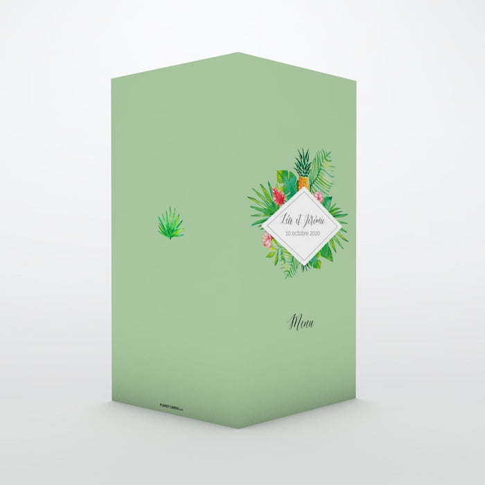 #lang=FR,format=DL1G,color=Pistachio,Cut=RC0