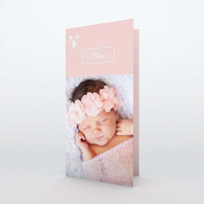 #lang=FR,format=DL1G,color=Misty rose,Cut=RC0