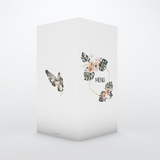 #lang=FR,format=DL1G,Cut=RC0