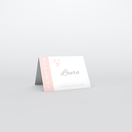 #lang=FR,format=MP,color=Misty rose,Cut=RC0