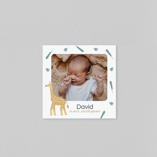 #lang=DE,format=MCRV,Cut=RC0