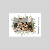 Cadre, branches et houx