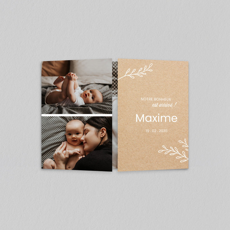 Petits brins sur kraft