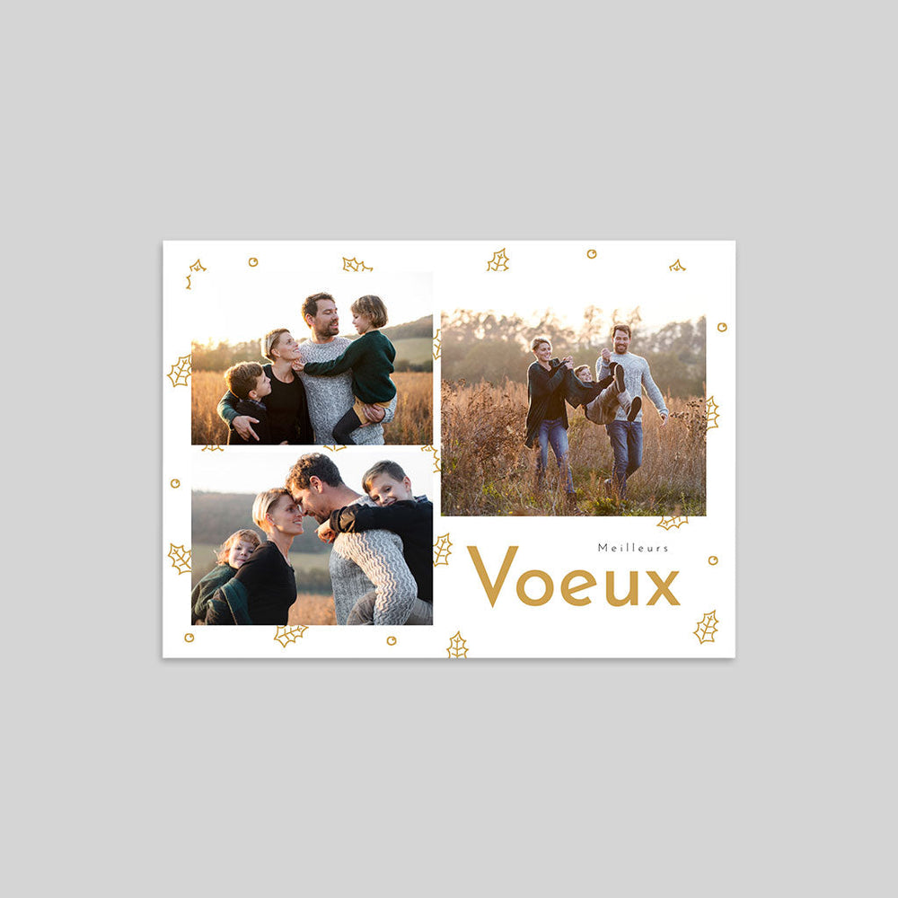 Feuilles De Houx