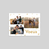 Feuilles De Houx
