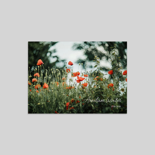 #lang=DE,format=G2RV,Cut=RC0