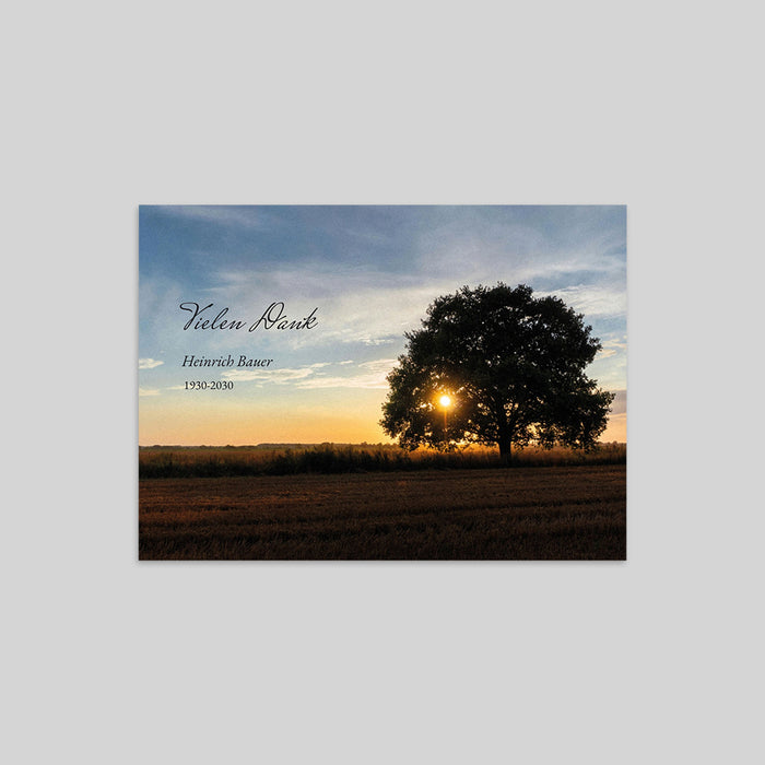 Weitere Anlässe Baum im Abendrot