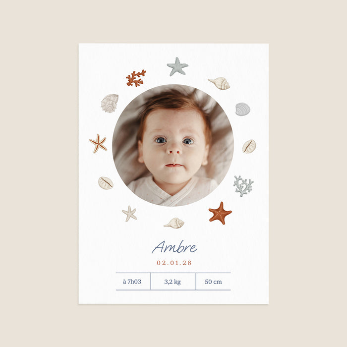 Les iconiques de Planet Cards Petit Coquillage
