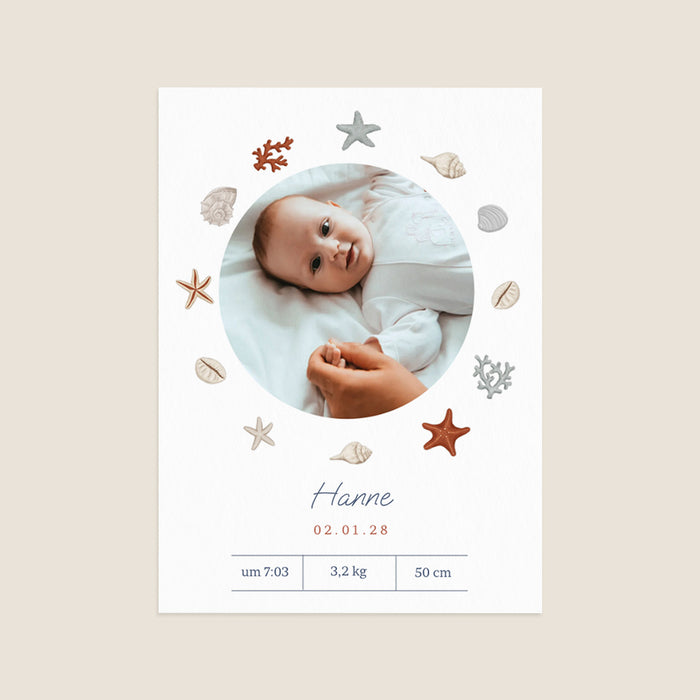 Les iconiques de Planet Cards Kleine Muschel