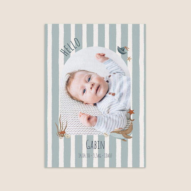 Rayures et Animaux Marins