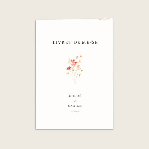 #lang=FR,format=P1G,Cut=RC0