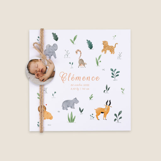 #lang=FR,format=CFG,Accessories=FINA