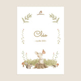 Lapin de la forêt
