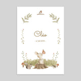 Kleiner Hase im Wald