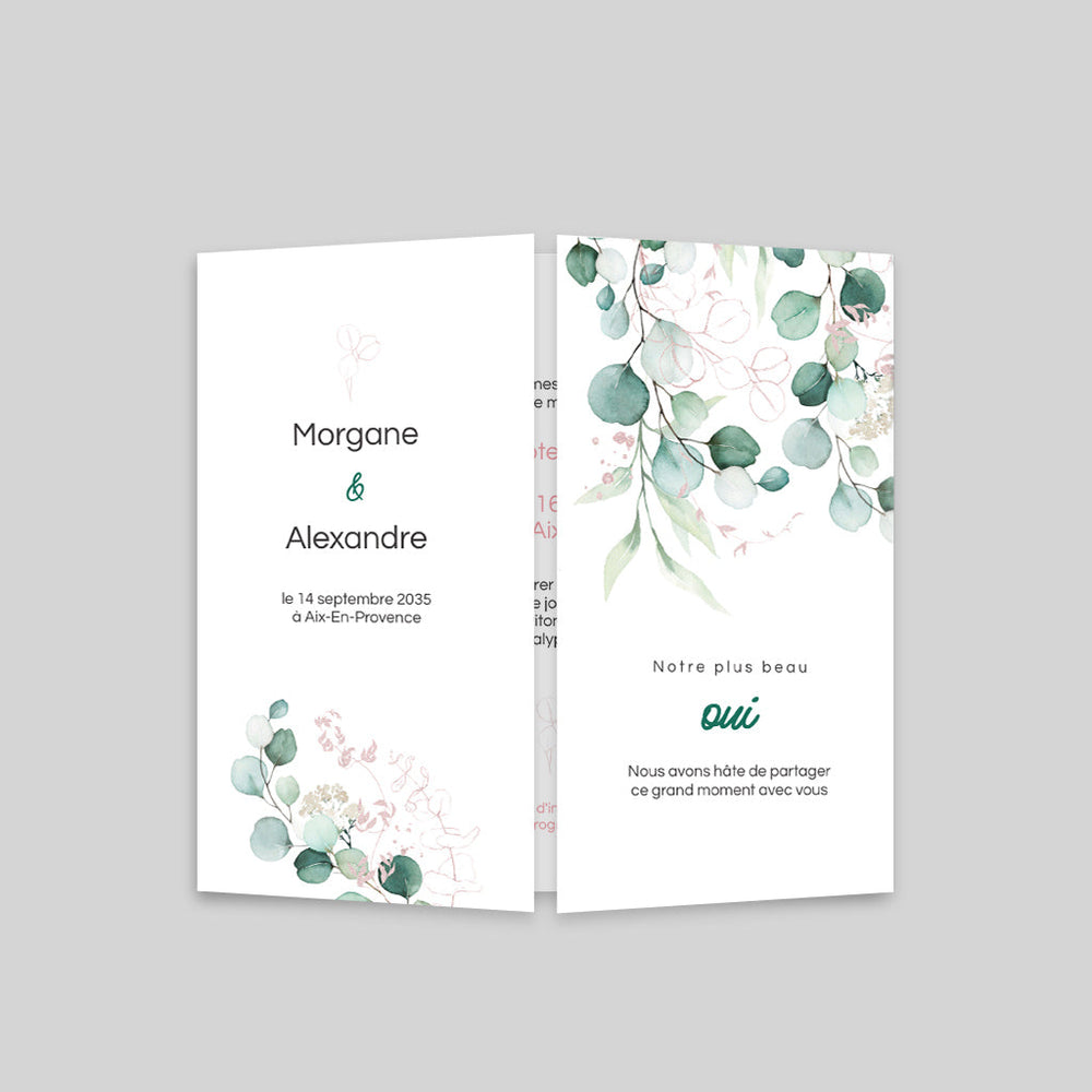 Eucalyptus Chic