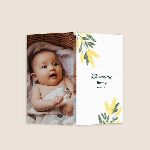 #lang=FR,format=CGD,Cut=RC0