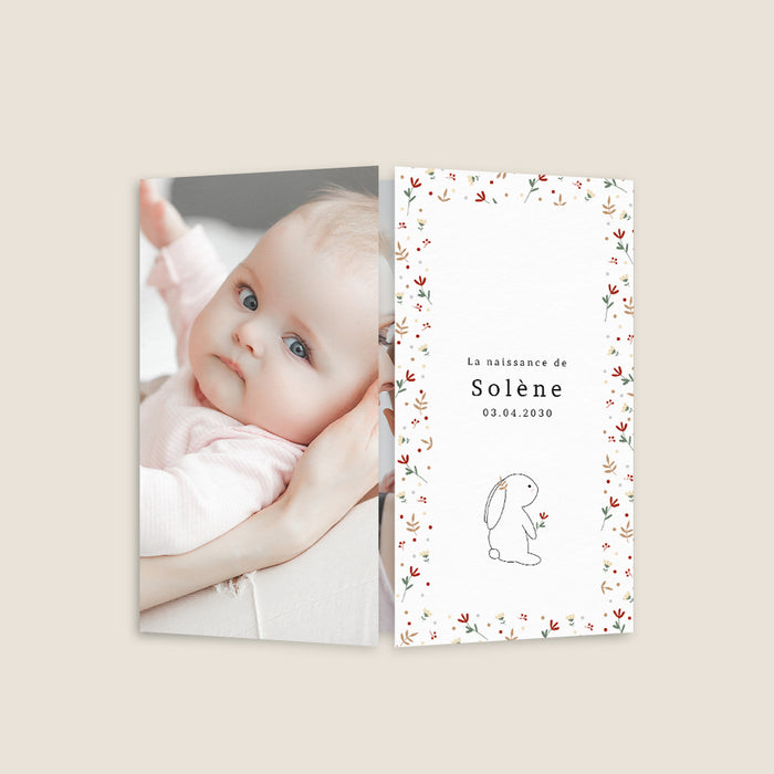 Faire-part naissance pictogramme Lapin et Cadre Liberty