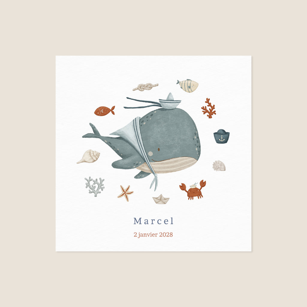 Petite Baleine