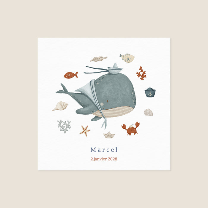 Les iconiques de Planet Cards Petite Baleine