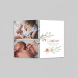 Jolies fleurs des champs