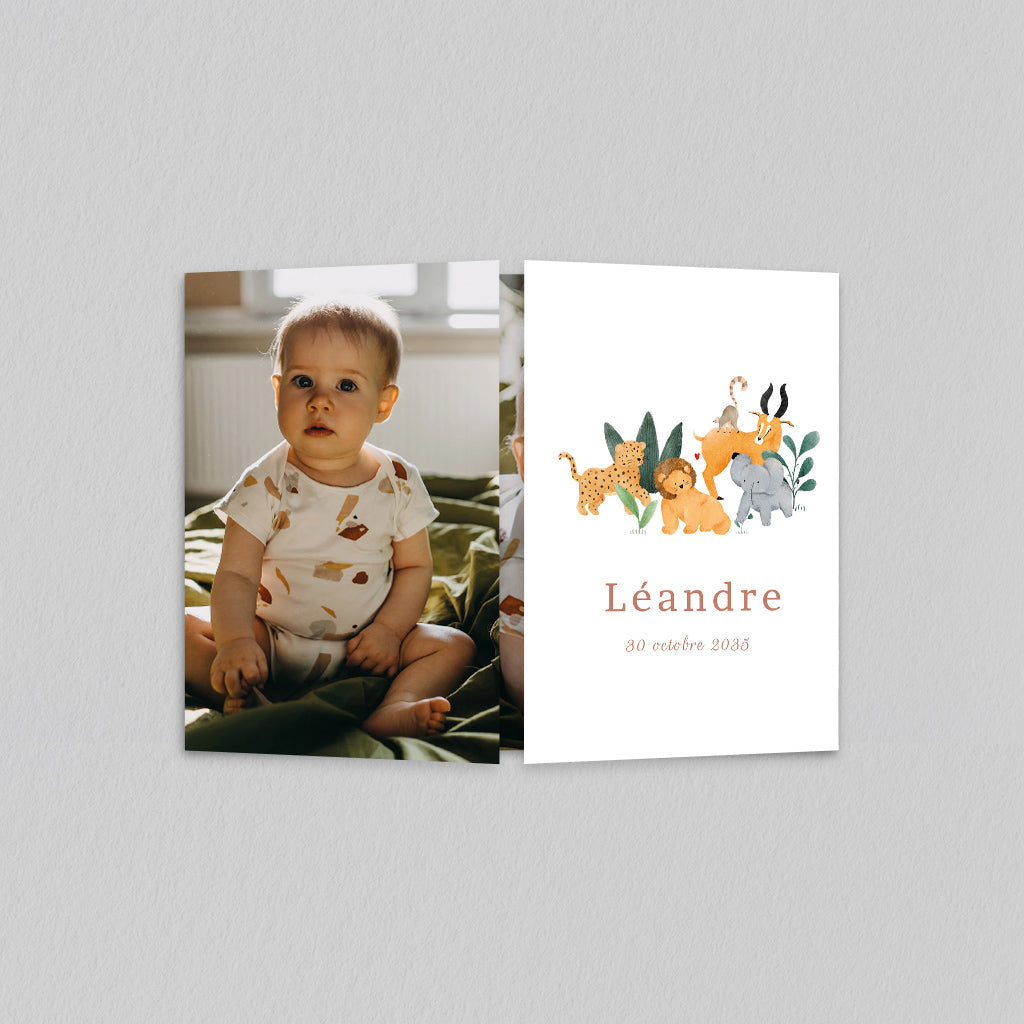 Savanne Geburtskarte