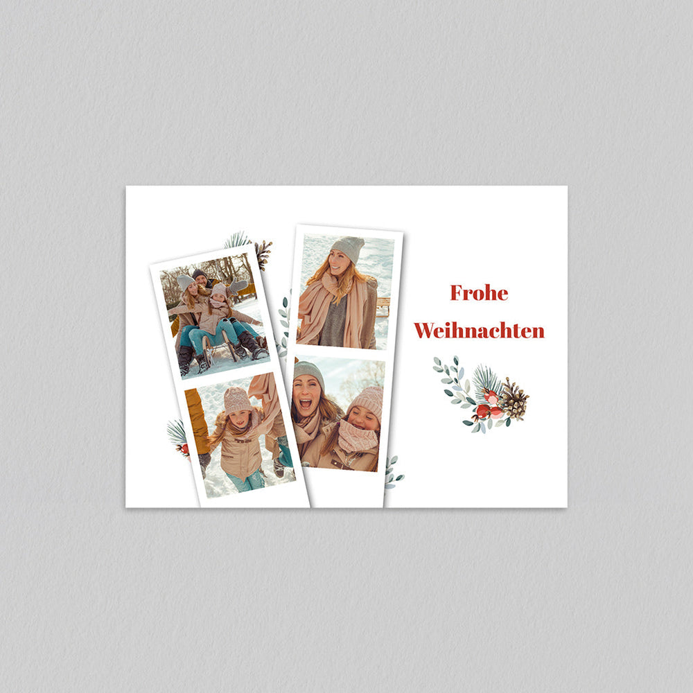 Weihnachtspflanze