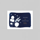 cyanotype