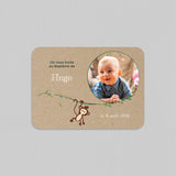 Bébé Singe Jungle