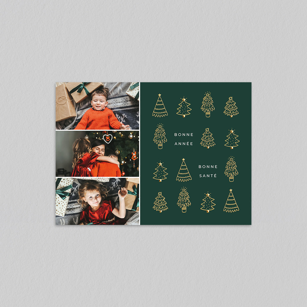 Sapins Scintillants