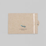 Eucalyptus Kraft