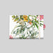 #lang=DE,format=PF2HB,Cut=RC0,Accessories=FIND